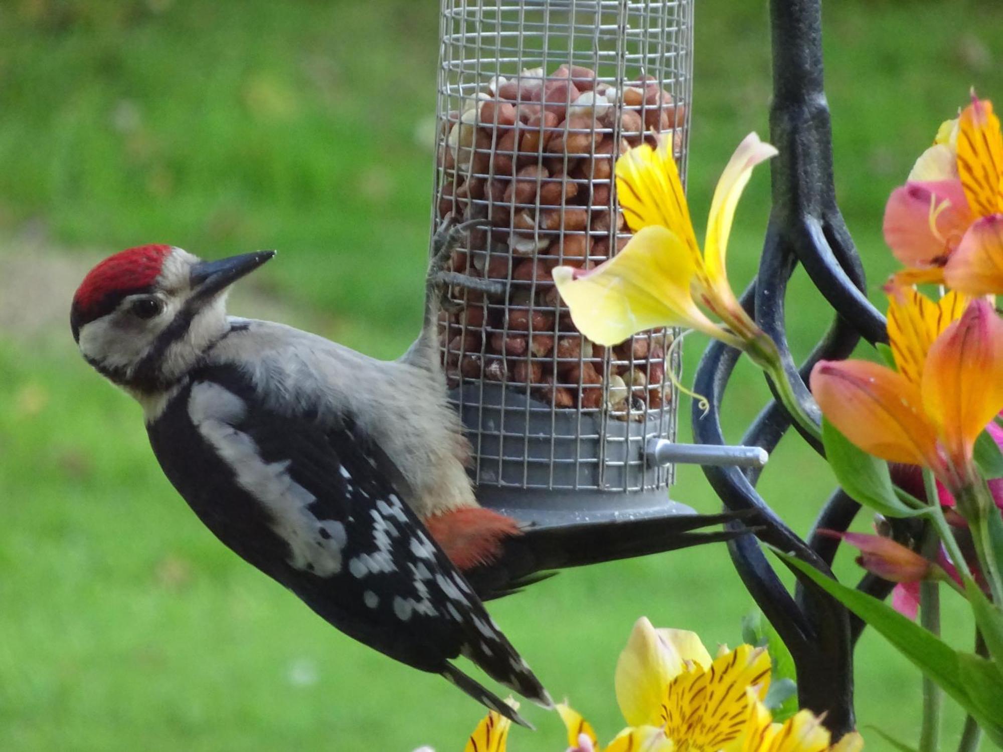 Yew Tree Farm Bed & Breakfast Eaton  Luaran gambar