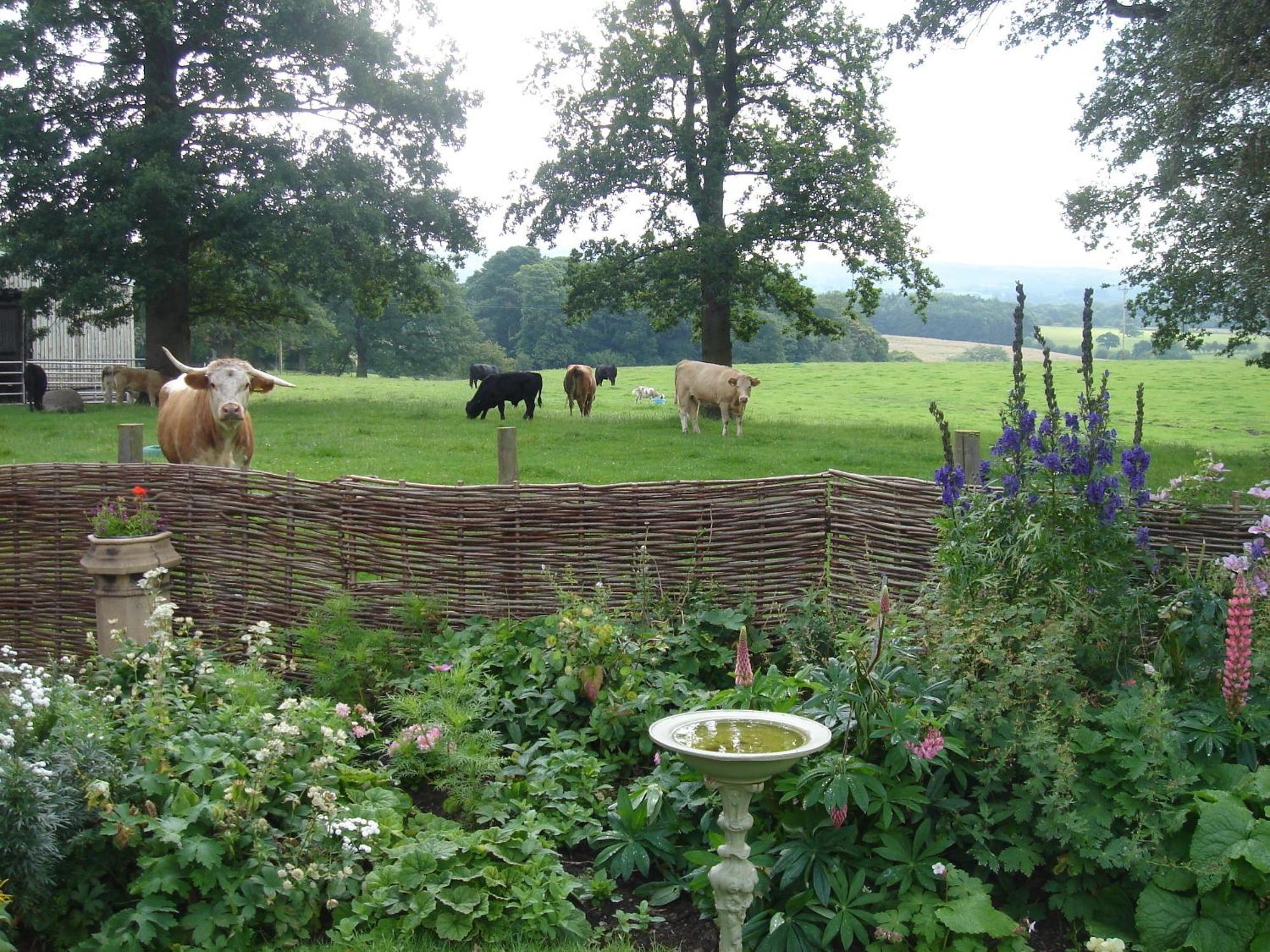 Yew Tree Farm Bed & Breakfast Eaton  Luaran gambar