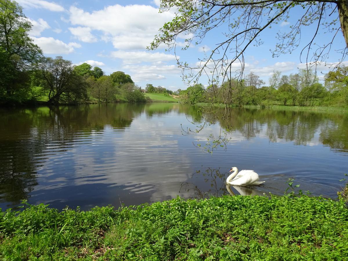 Yew Tree Farm Bed & Breakfast Eaton  Luaran gambar